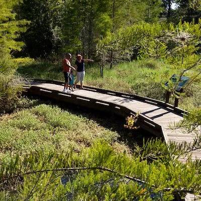thumbnail for publication: Introducing Ecotourism to Florida's Counties and Landowners: An Ecotourism/Nature Based Tourism Fact Sheet